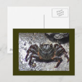 Postkarte (Vorne/Hinten)