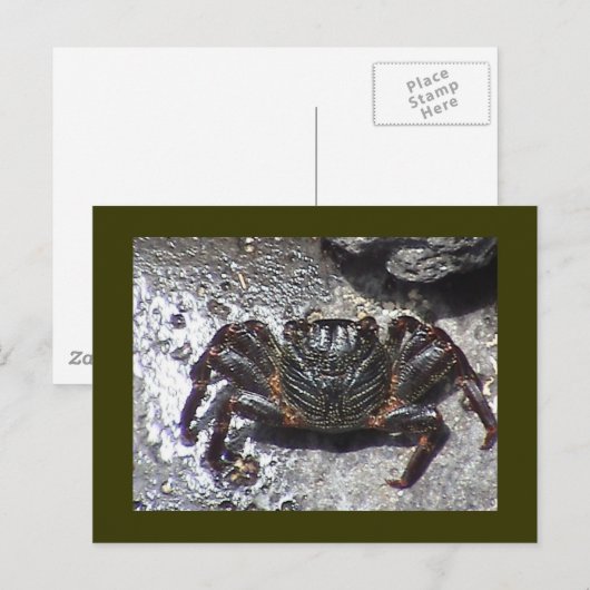 Postkarte (Vorne/Hinten)