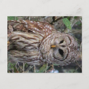 Postkarte