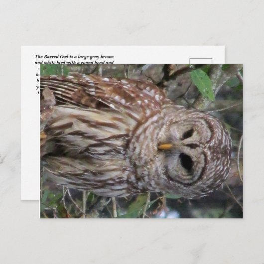 Postkarte (Vorne/Hinten)