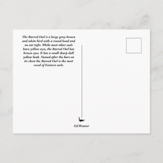 Postkarte (Rückseite)