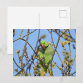 Postkarte (Vorne/Hinten)