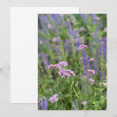 Postkarte (Vorne/Hinten)