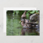 Postkarte (Vorne/Hinten)