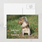 Postkarte (Vorne/Hinten)