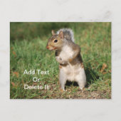 Postkarte (Vorderseite)