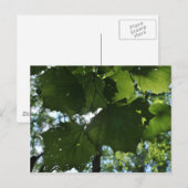 Postkarte (Vorne/Hinten)