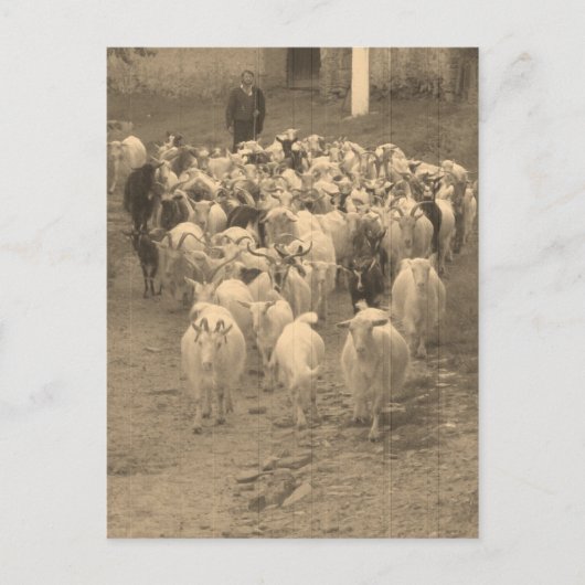 Postkarte (Vorderseite)