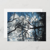 Postkarte (Vorne/Hinten)