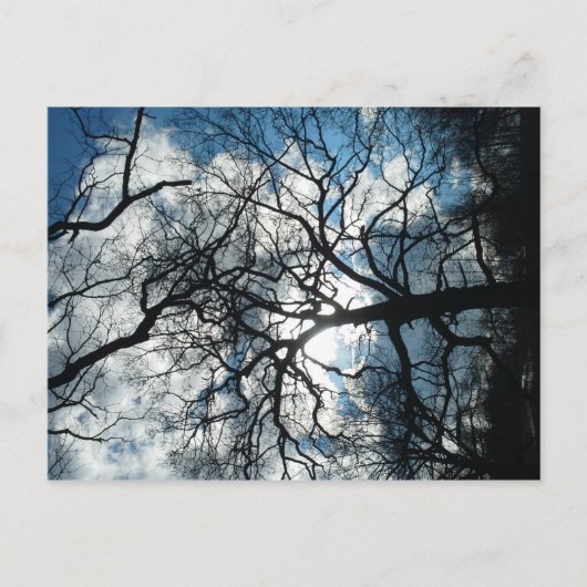 Postkarte (Vorderseite)