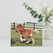 Postkarte (Stehend Vorderseite)