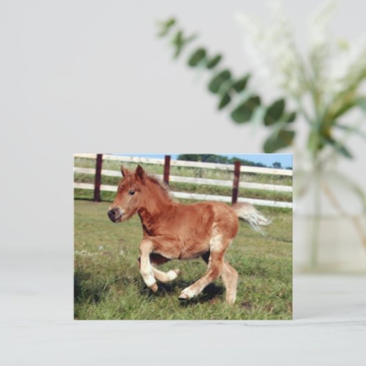 Postkarte (Stehend Vorderseite)