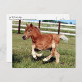 Postkarte (Vorne/Hinten)