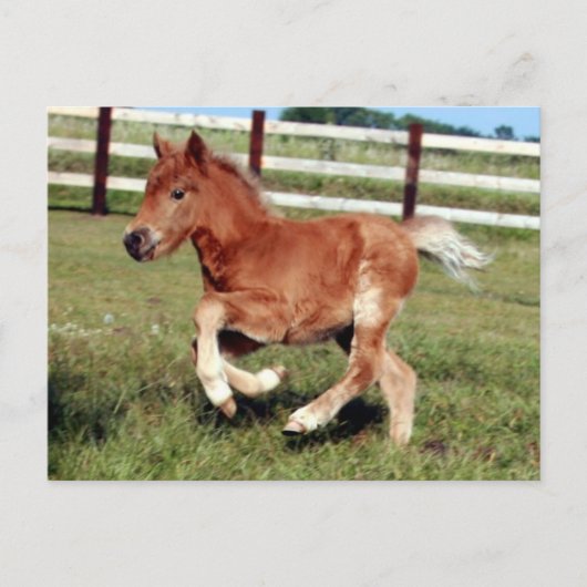 Postkarte (Vorderseite)