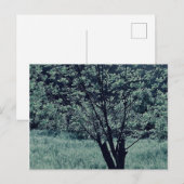 Postkarte (Vorne/Hinten)