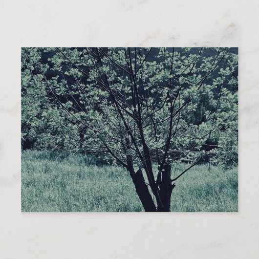 Postkarte (Vorderseite)