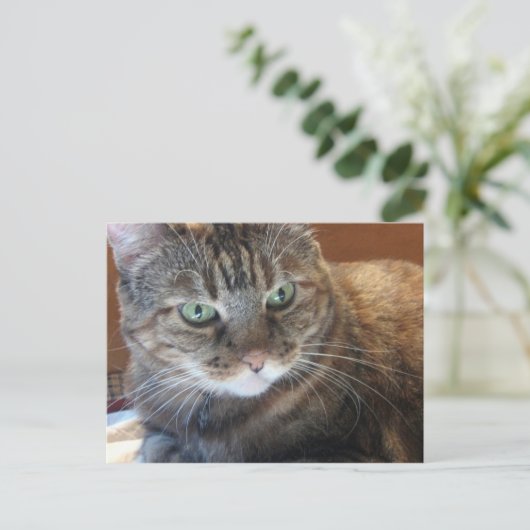 Postkarte (Stehend Vorderseite)