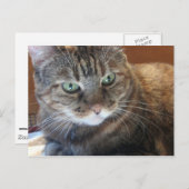 Postkarte (Vorne/Hinten)