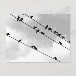 Postkarte