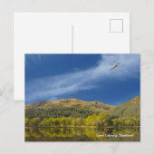 Postkarte (Vorne/Hinten)