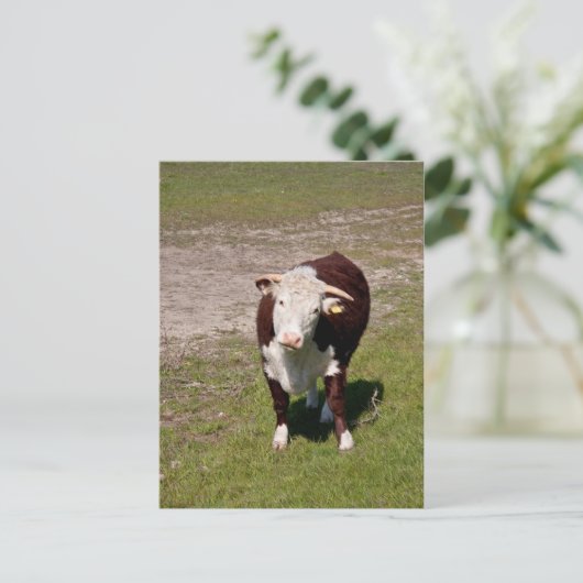 Postkarte (Stehend Vorderseite)