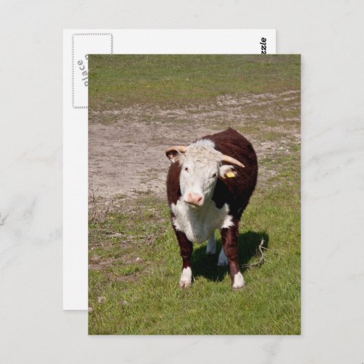 Postkarte (Vorne/Hinten)