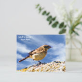 Postkarte (Stehend Vorderseite)