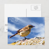 Postkarte (Vorne/Hinten)