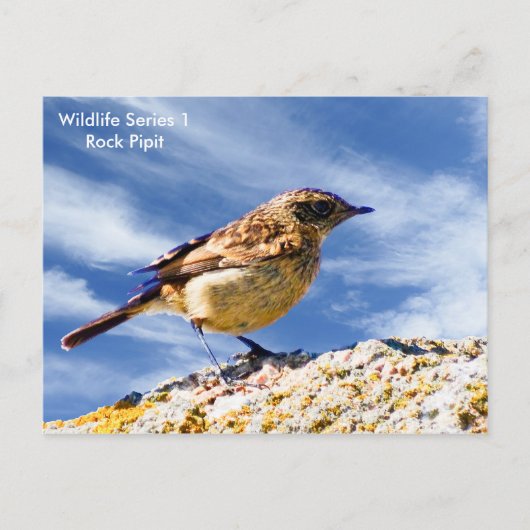 Postkarte (Vorderseite)