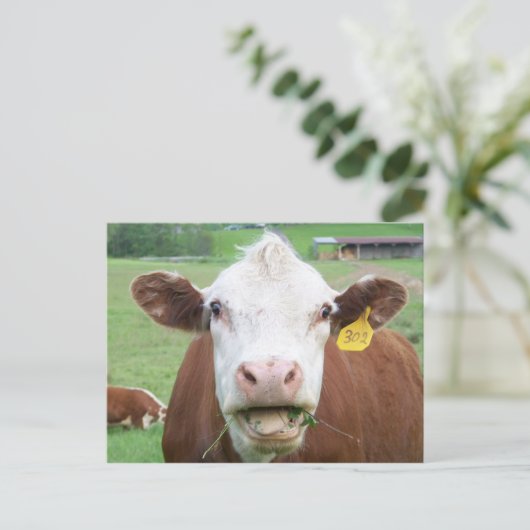 Postkarte (Stehend Vorderseite)