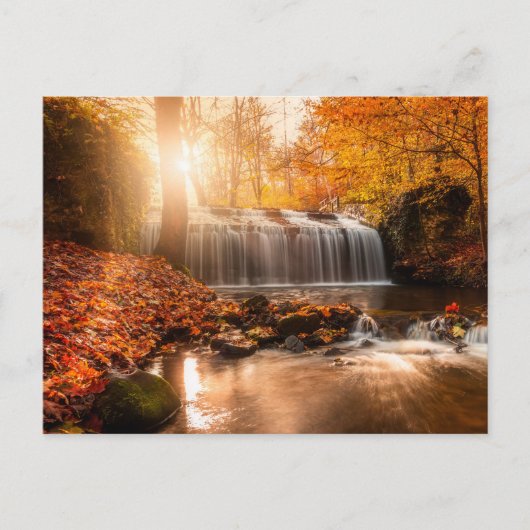 Postkarte (Vorderseite)