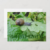 Postkarte (Vorne/Hinten)