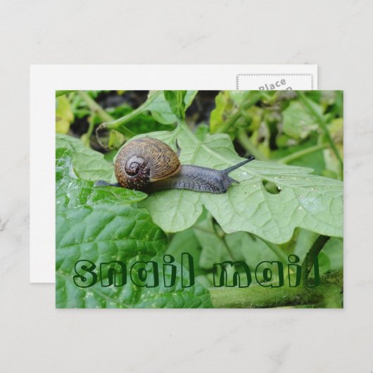 Postkarte (Vorne/Hinten)