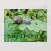 Postkarte (Vorderseite)