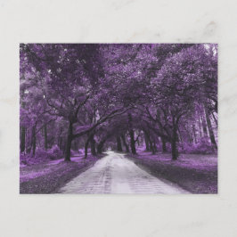 Postkarte