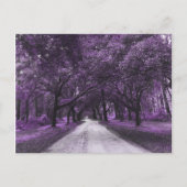 Postkarte (Vorderseite)