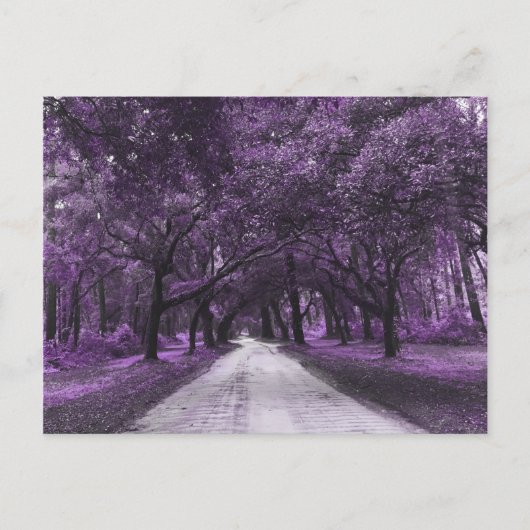 Postkarte (Vorderseite)