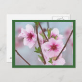 Postkarte (Vorne/Hinten)