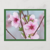 Postkarte (Vorderseite)