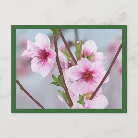 Postkarte (Vorderseite)