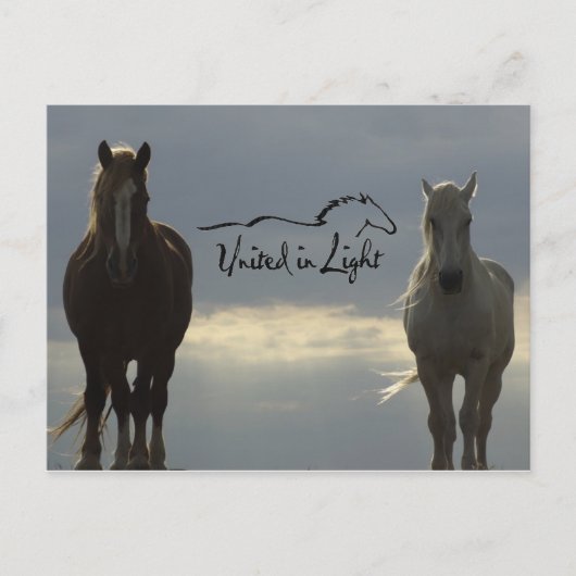 Postkarte (Vorderseite)