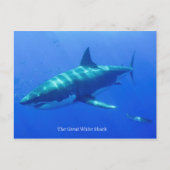 Postkarte (Vorderseite)