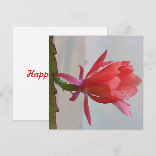 Postkarte (Vorne/Hinten)