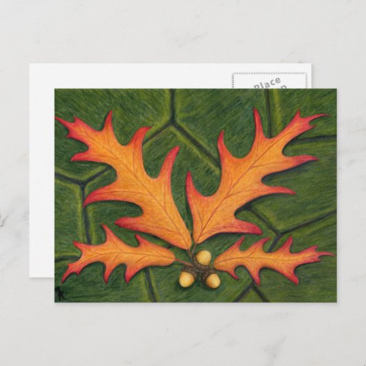 Postkarte (Vorne/Hinten)