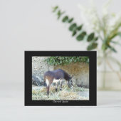 Postkarte (Stehend Vorderseite)