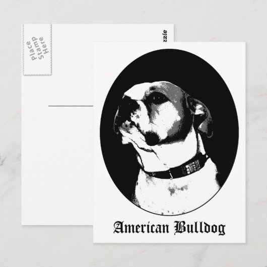 Postkarte (Vorne/Hinten)