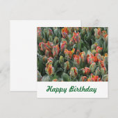 Postkarte (Vorne/Hinten)