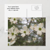 Postkarte (Vorne/Hinten)