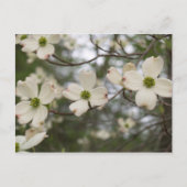 Postkarte (Vorderseite)