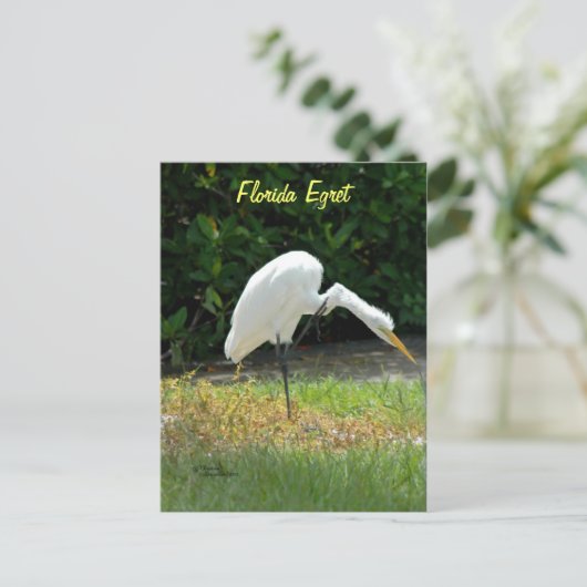 Postkarte (Stehend Vorderseite)